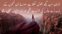 Precious Urdu Quotes | Sunehri Aqwal | Golden Words | Life Changing | Sunehri Haroof