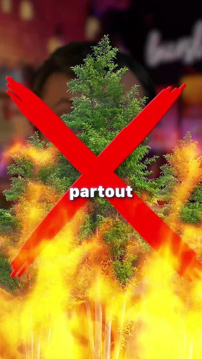 La SOLUTION pour arrêter les FEUX DE FÔRET