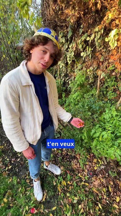 Un appart de 14.000€ à Paris Profession ： comédien