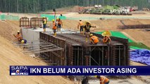 Kata Presiden Jokowi soal Minat Investor Asing kepada IKN Nusantara!