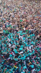 A Human Tower 9 People Tall