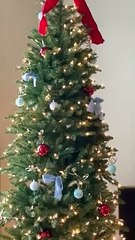 Kitten Cozies Up In Christmas Tree