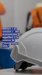 Métiers « en tension » : des économistes appellent à la relance de l’immigration utile !