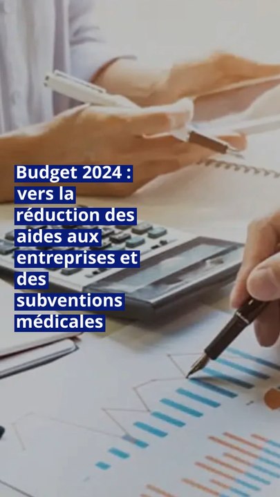 Budget 2024 : vers la réduction des aides aux entreprises et des subventions médicales