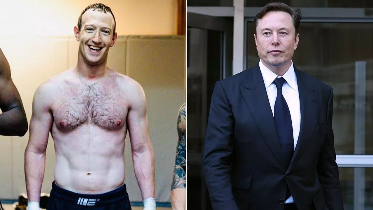 Elon Muscle VS Mark Zuckerberg : combat de catch