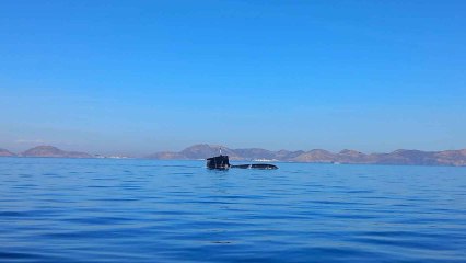 ¡Increíble visual! Submarino S-81 emergiendo a la superficie 🚢
