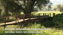 Szinte teljesen eltűntek az illegális bevándorlók a magyar-szlovák határról
