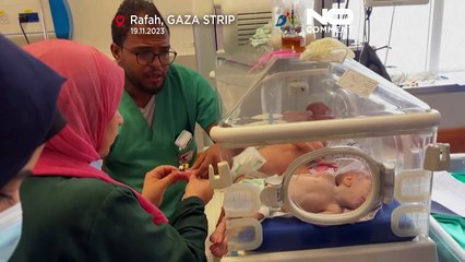 Frühgeborene Babys aus Gaza sollen nach Ägypten gebracht werden
