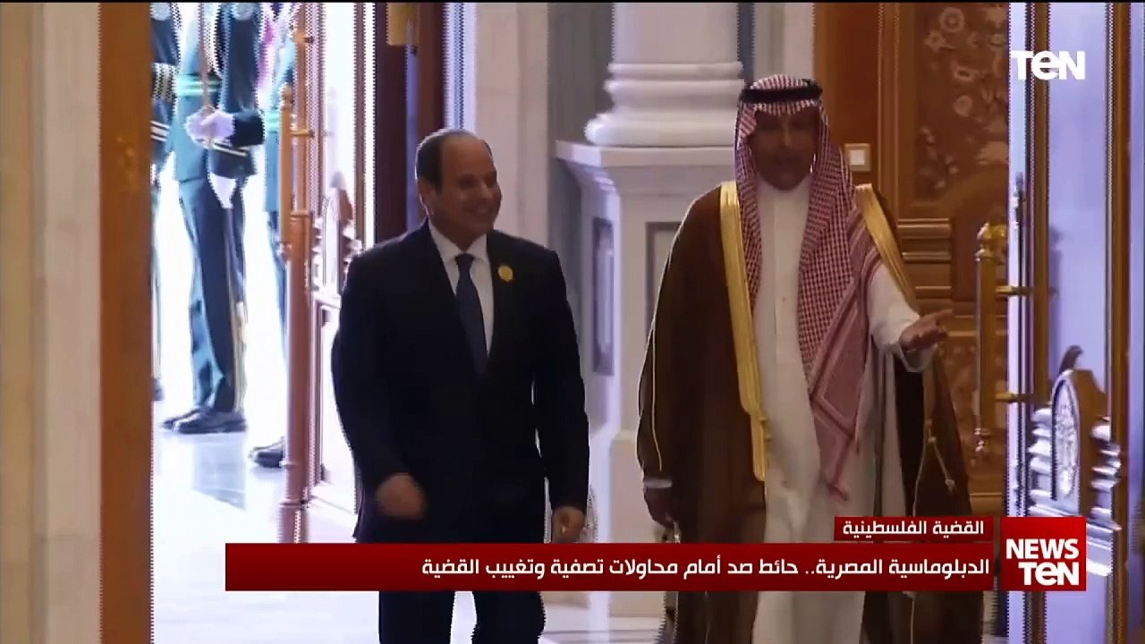 الدبلوماسية المصرية .. حائط صد أمام محاولات تصف...