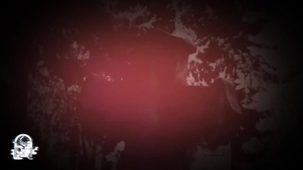 MALVERDE (Relatos De Terror)