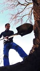 Uncover the Hidden Secrets Beneath the Sand 🏜️