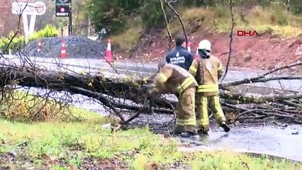 İstanbul'da Fırtına Sonucu Sarıyer'de Yol Trafiğe Kapandı