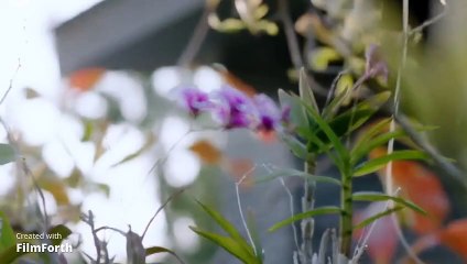 WHY R U EPISODE 12 PART 4 THAI BL DRAMA UNCENSORED VERSION