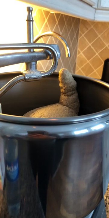 Excited Bread Dough Rises In Mixer