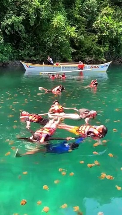 Swirling Swim With Siargao Jellyfish