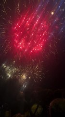 Le Feu d’artifice du 14 juillet Grenoble  Parc Jean-Verlhac Villeneuve #france #grenoble #show (17)