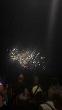 Le Feu d’artifice du 14 juillet Grenoble Parc Jean-Verlhac Villeneuve #france #grenoble #show (9)