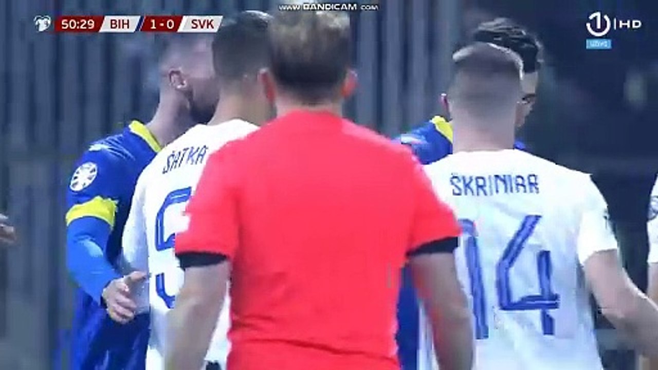 vec11slovakabihgolgol