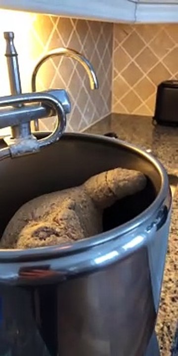 Excited Bread Dough Rises In Mixer