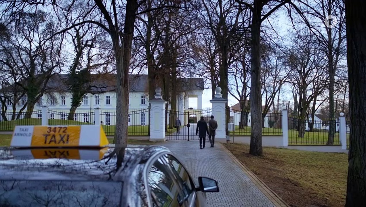 Allmen und das Geheimnis des rosa Diamanten (Ganzer Film Deutsch 2017)