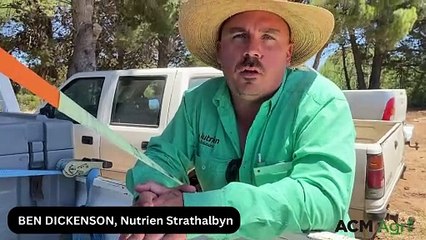 Strathalbyn market | November 17, 2023 | Stock Journal