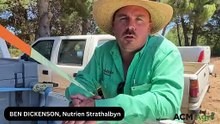 Strathalbyn market | November 17, 2023 | Stock Journal
