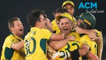 Australia defeat India by six-wickets to win sixth Cricket World Cup