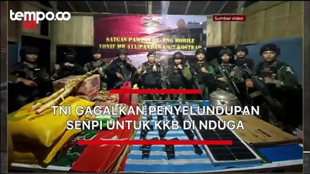 TNI Gagalkan Penyelundupan Senpi untuk KKB di Papua