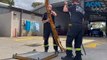 HAZMAT firefighters | November 16, 2023 | Illawarra Mercury
