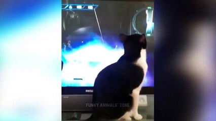 EL GATO CON BOTAS de ninos