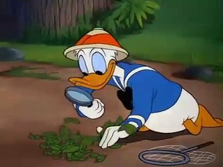 Donald Duck- Bootle Beetle