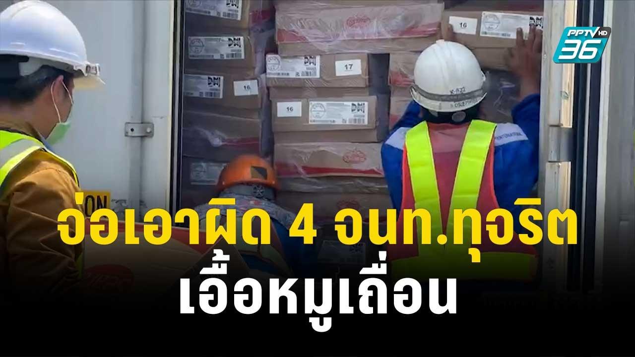 DSI เตรียมเอาผิด 4 จนท.รัฐ ทุจริตเอื้อหมูเถื่อน | โชว์ข่าวเช้านี้ | 20 พ.ย. 66