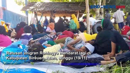 Ratusan Imigran Rohingya Kembali Mendarat di Bireuen Aceh