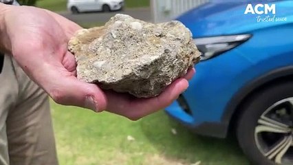 Glen Strauss - car hit while on the Hume Freeway