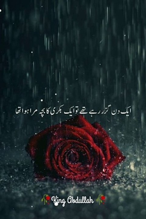 نبی پاک صلی اللہ علیہ والہ وسلم ایک دن گزر رہے تھے کہ بکری کا بچہ مرا ہوا تھا