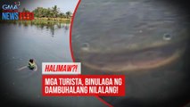 Halimaw? Mga turista, binulaga ng dambuhalang nilalang! | GMA Integrated Newsfeed