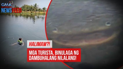 Halimaw? Mga turista, binulaga ng dambuhalang nilalang! | GMA Integrated Newsfeed