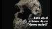 El 'Homo naledi', una nueva especie humana, convivió en África con el 'Homo sapiens'