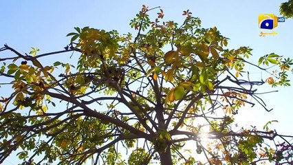 Baylagaam Episode 05 - [Eng Sub] - Ali Abbas - Laiba Khan - Haroon Shahid - Tuba Anwar - 16th Oct 23