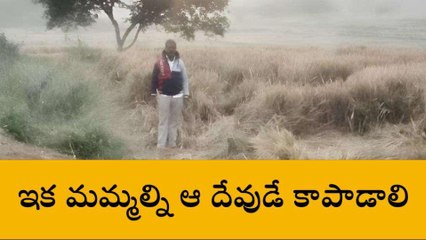 చిత్తూరు జిల్లా: జనవాసాల్లో గజరాజుల ఘీంకారం... భయంతో..