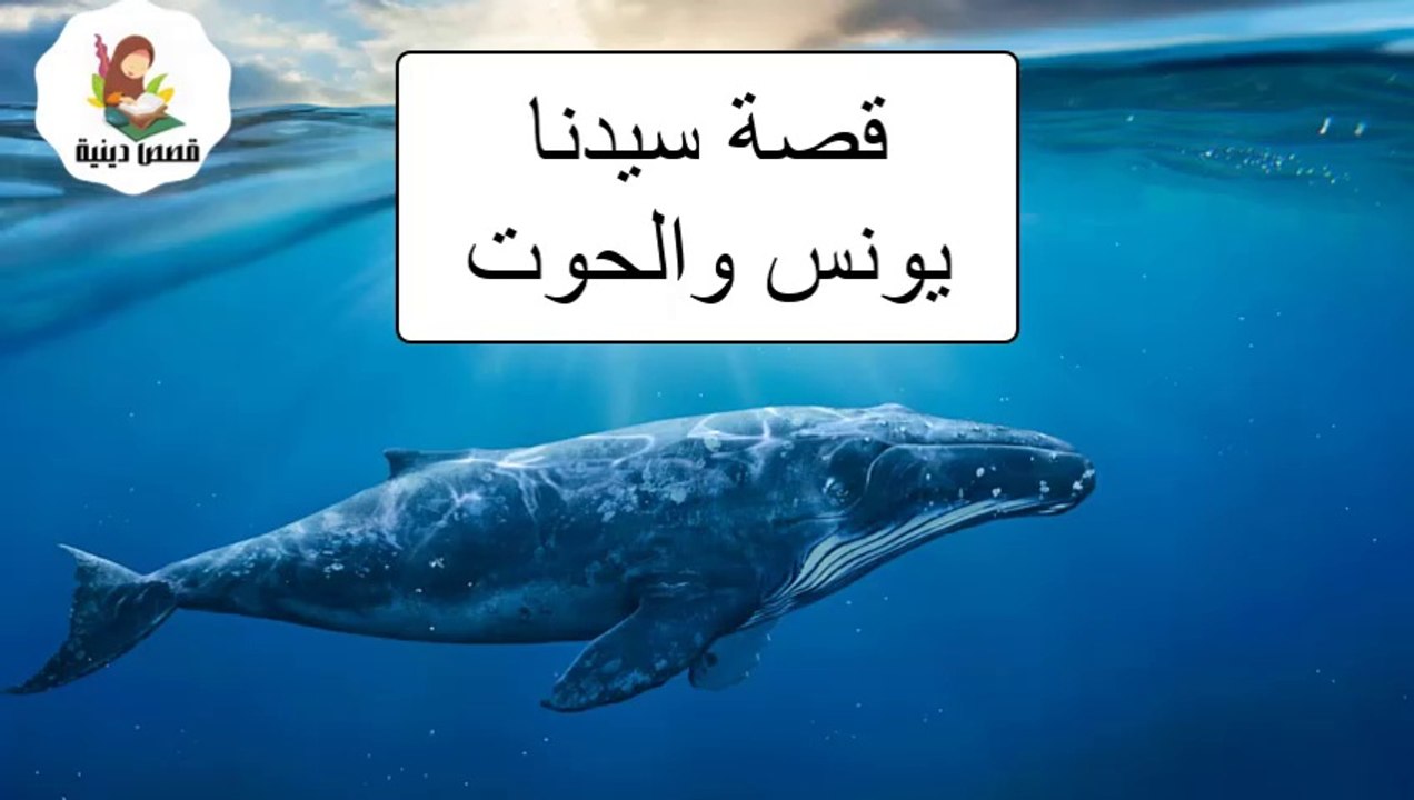 مشاهدة مسلسل يونس والحوت -  الحلقة الثالثة  والعشرون-  قصص الأنبياء