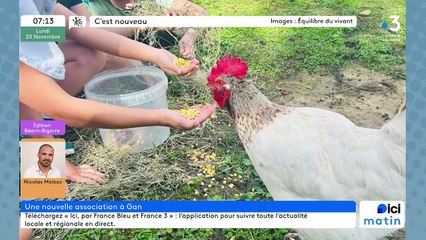 20/11/2023 - Le 6/9 de France Bleu Béarn Bigorre en vidéo