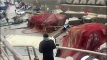 İstanbul'da Fırtına Balıkçı Barınağına Zarar Verdi