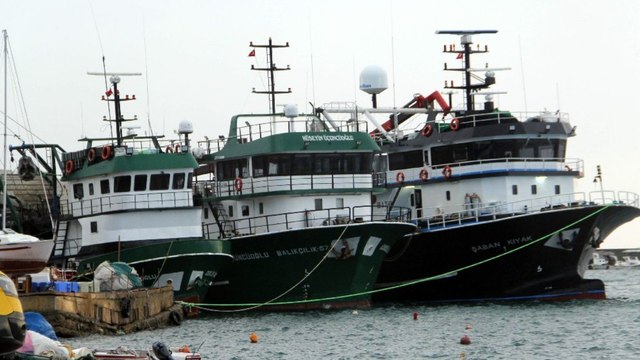 Sinop’ta yük gemileri limana sığındı