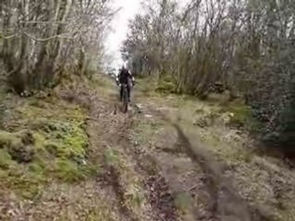 MOV04360