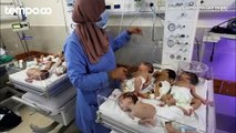 31 Bayi Prematur Dievakuasi dari RS Al Shifa Gaza Dipindahkan ke Mesir Tanpa Keluarga