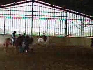 Encore dese tours au galop !!!!