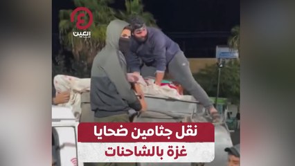 نقل جثامين ضحايا غزة بالشاحنات