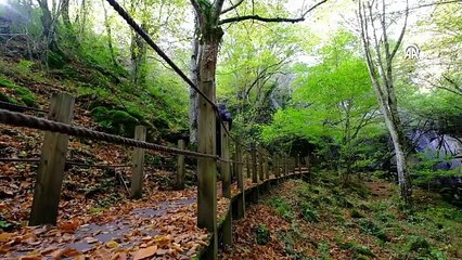 Trakya'nın tek turizme açık mağarası yarasalarıyla ziyaretçi çekiyor