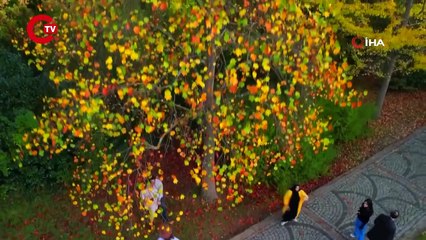 Atatürk Arboretumu havadan görüntülendi: Kartpostallık manzaralar görenleri mest etti...